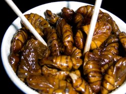 Will the traditional Beondegi (번데기) snack food survive the McDonaldization of Korean diets?